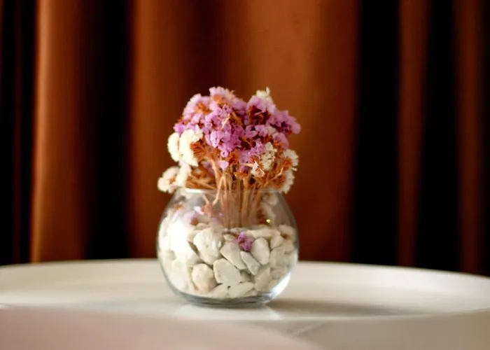 Stella Maris - Style & Comfort 3*